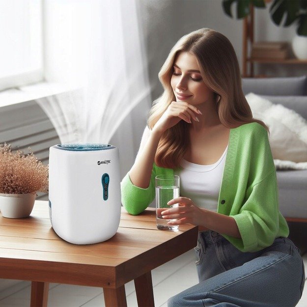 Oro sausintuvas, drėgmės sugėriklis Maltec DH-800 22W 3