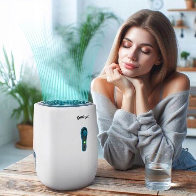 Oro sausintuvas, drėgmės sugėriklis Maltec DH-800 22W 11