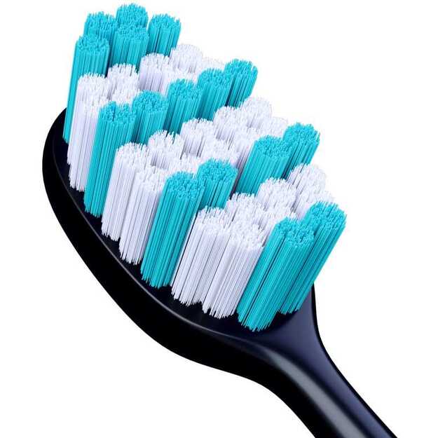 Berdsen B3 Sonic dantų šepetėlio galvutės, 4 vnt. 3