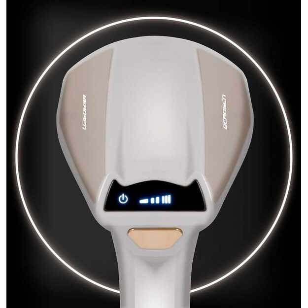 2000 W garinis lygintuvas „Berdsen BD-300“ drabužių garintuvas 2