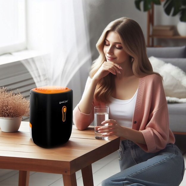 Oro sausintuvas, drėgmės sugėriklis Maltec DH-800 22W 2