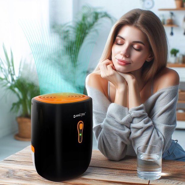 Oro sausintuvas, drėgmės sugėriklis Maltec DH-800 22W 11