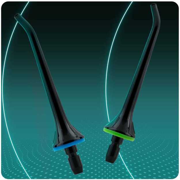 Berdsen BD-201 irigatoriaus antgaliai, 2 vnt. 2