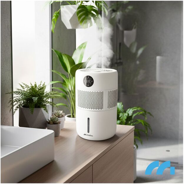 Oro drėkintuvas, garinantis jonizatorius, aromaterapijos difuzorius, higrostatas WT-6000-ION 4