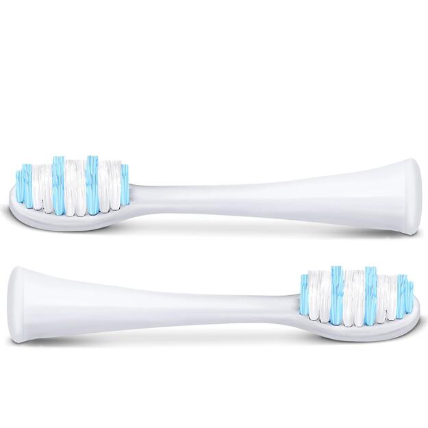 Berdsen Sonic dantų šepetėlio galvutės, 2 vnt. 5