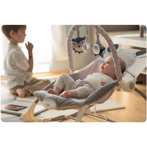 Nukido gultukas, kėdutė, supuoklė kūdikiams 4