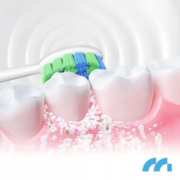 Maltec dantų šepetėlio galvutės X2in1 3vnt., balta, Sonic 3