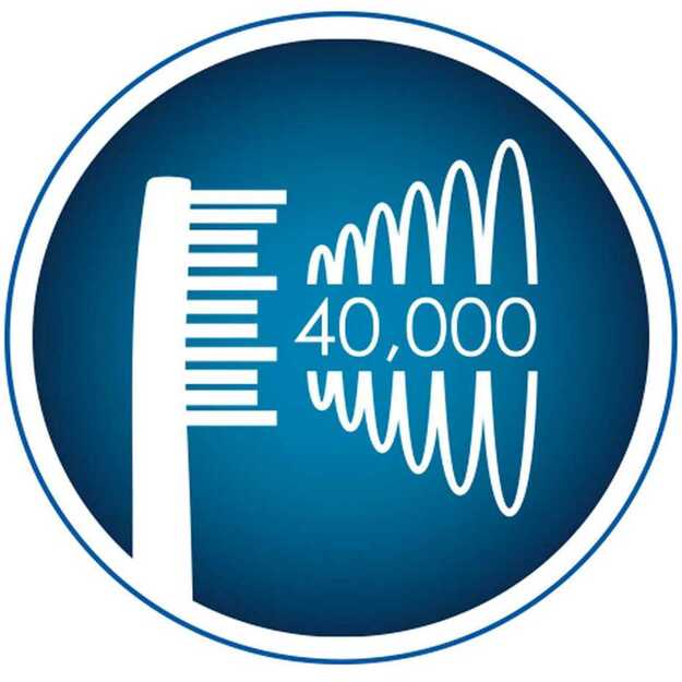 Berdsen Sonica B5 juodas dantų šepetėlis sonic 2