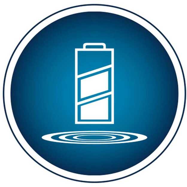 Berdsen Sonica B5 juodas dantų šepetėlis sonic 5