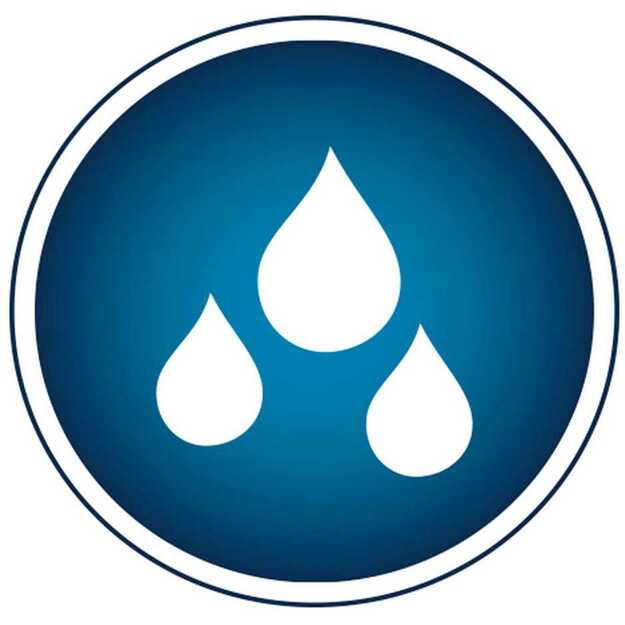 Berdsen Sonica B5 juodas dantų šepetėlis sonic 8