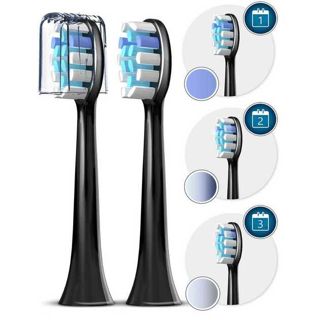 Berdsen Sonica B5 juodas dantų šepetėlis sonic 18