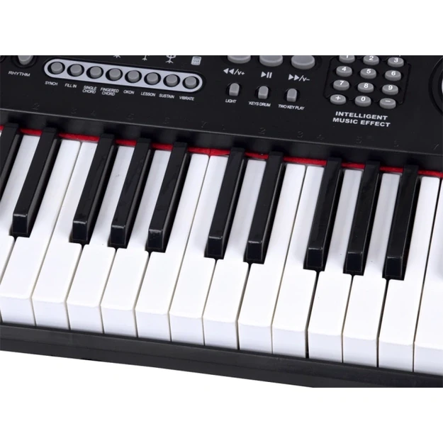 Vaikiškas pianinas su mikrofonu, 61 klavišas