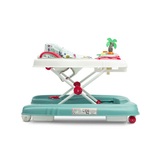 Vaikštynė-stumdukas 2in1 Toyz Surf Blossom 5