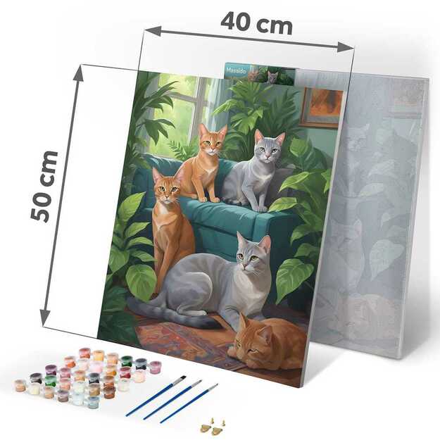 Paveikslas tapybai pagal skaičius 40x50 cm Massido Katės