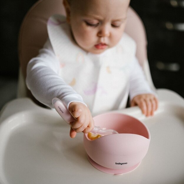 Babyono lėkštutė silikoninė neslystanti rožinė