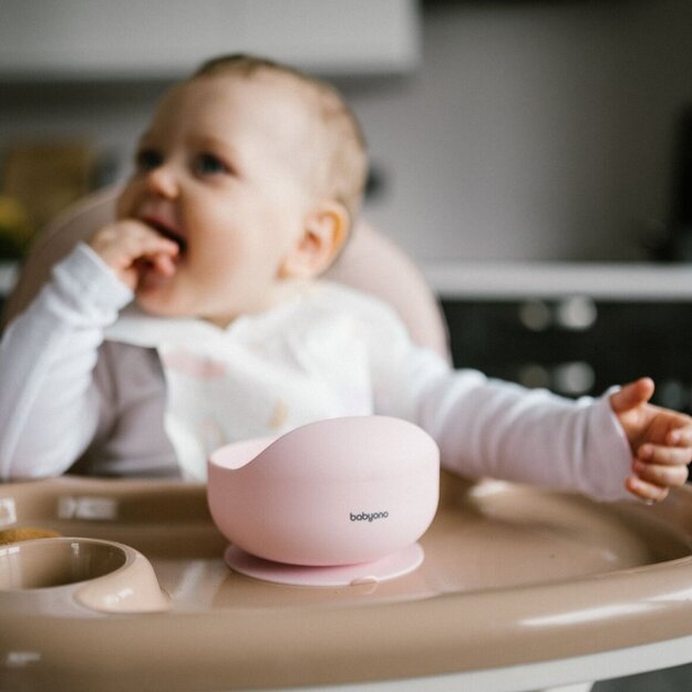 Babyono lėkštutė silikoninė neslystanti rožinė