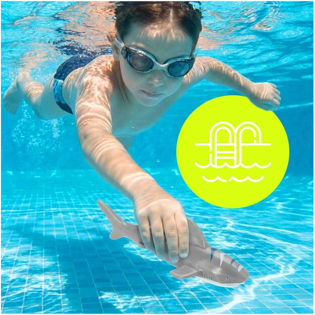 Vandens, baseino ir nardymo žaislų rinkinys, 26 dalys 3