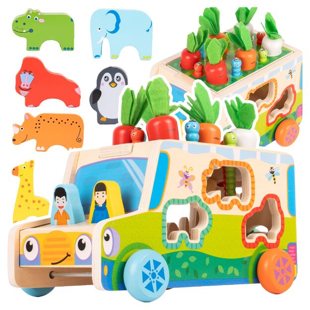 Medinis rūšiuoklis Morkų automobilis