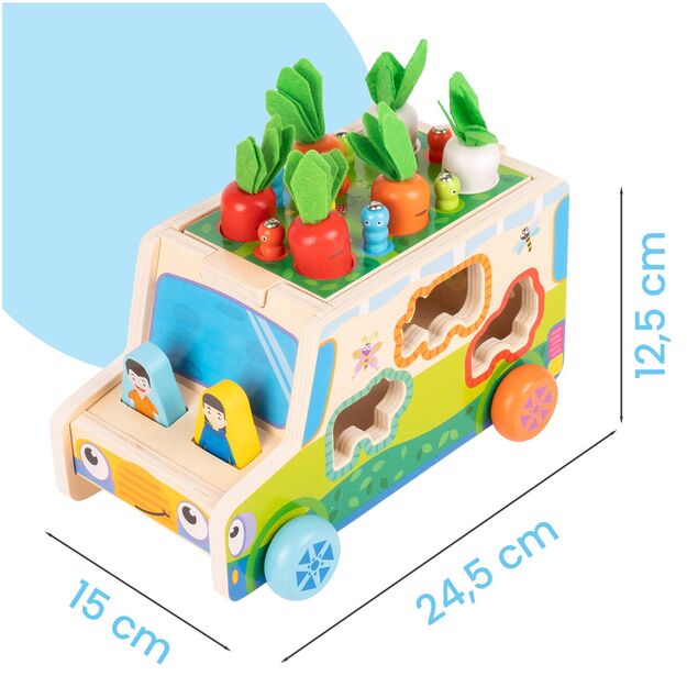 Medinis rūšiuoklis Morkų automobilis 1