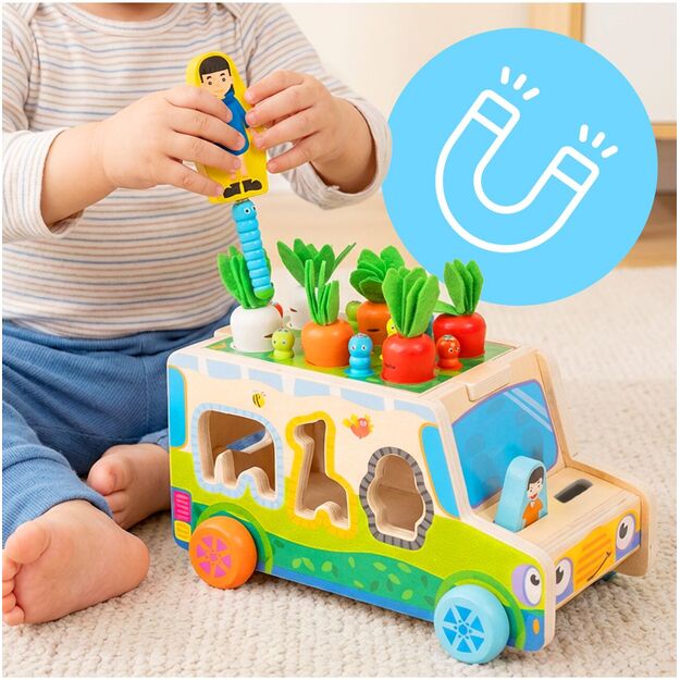 Medinis rūšiuoklis Morkų automobilis 3