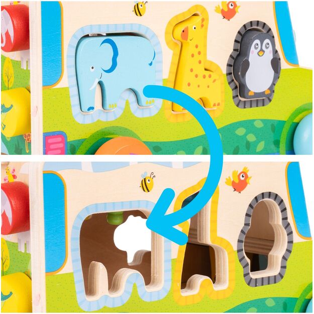 Medinis rūšiuoklis Morkų automobilis 6