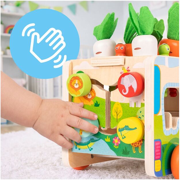 Medinis rūšiuoklis Morkų automobilis 4