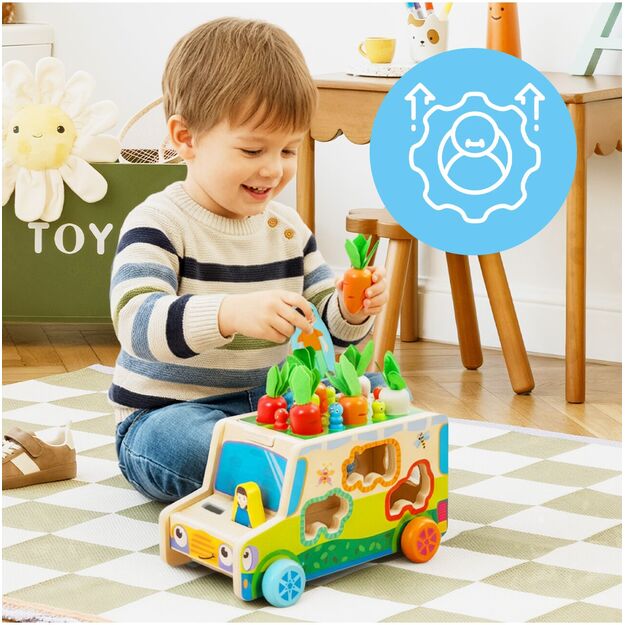 Medinis rūšiuoklis Morkų automobilis 7