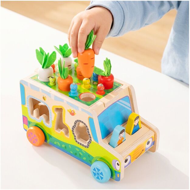 Medinis rūšiuoklis Morkų automobilis 8