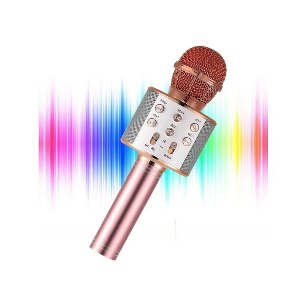 Žaislinis Karaoke Bluetooth mikrofonas 