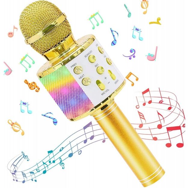 Žaislinis Karaoke Bluetooth mikrofonas 